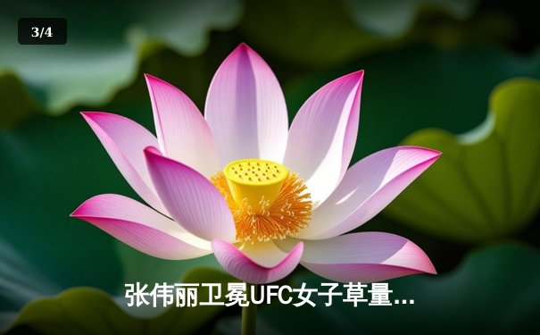 张伟丽卫冕UFC女子草量级冠军 鏖战五回合点数击败闫晓楠 - 3